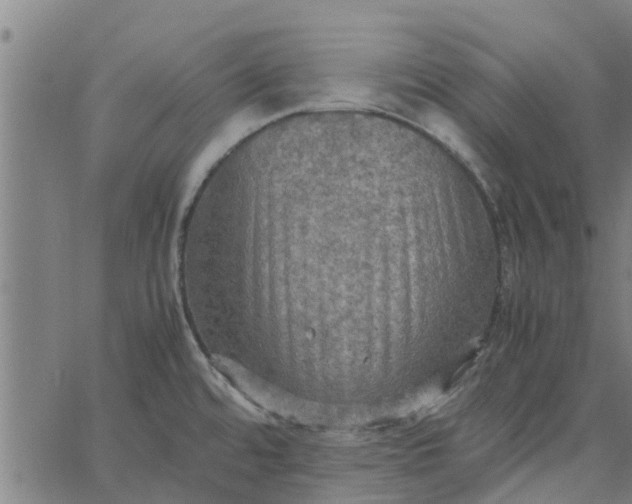 X0000065241480200603031726