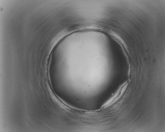 X0000065241483200603031726