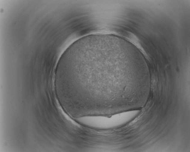 X0000065241484200603031726