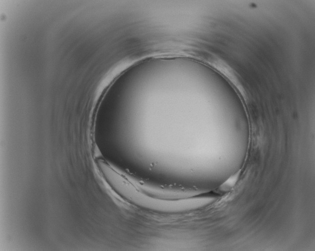 X0000065241485200603031726