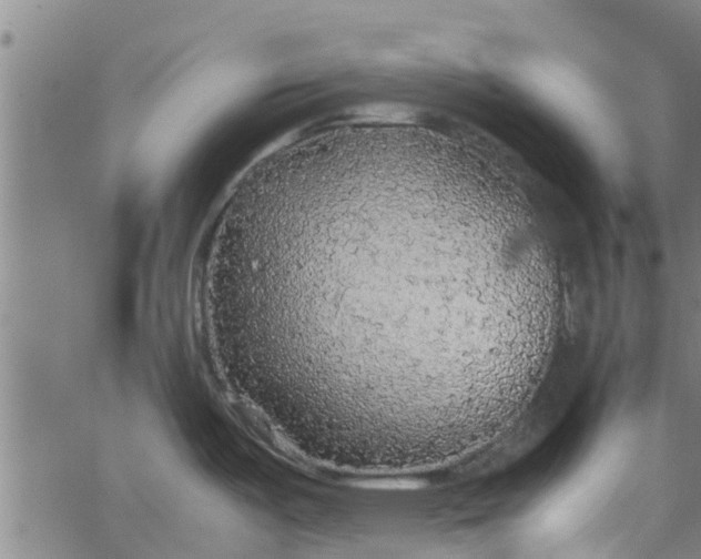 X0000065241487200603031726