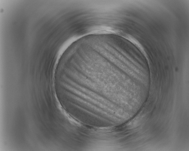 X0000065241488200603031726