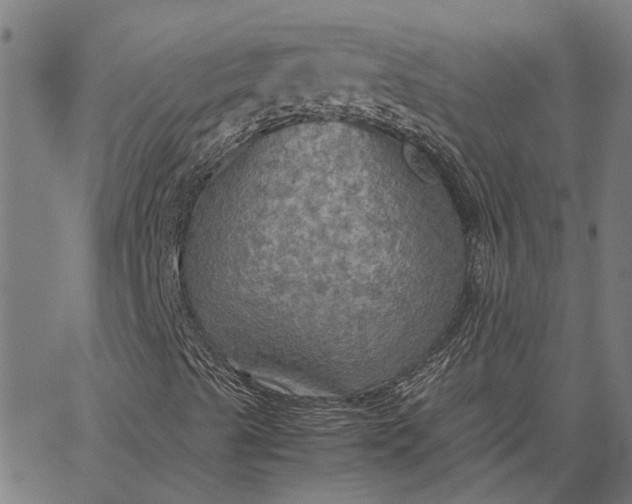 X0000065241489200603031725