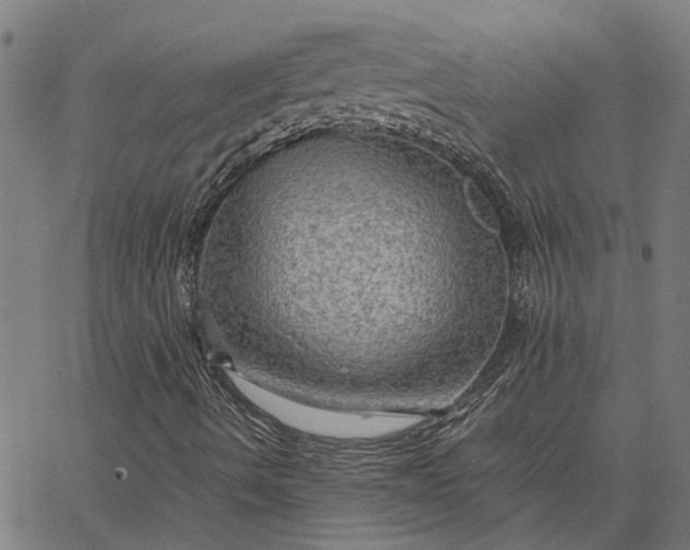 X0000065241490200603031725