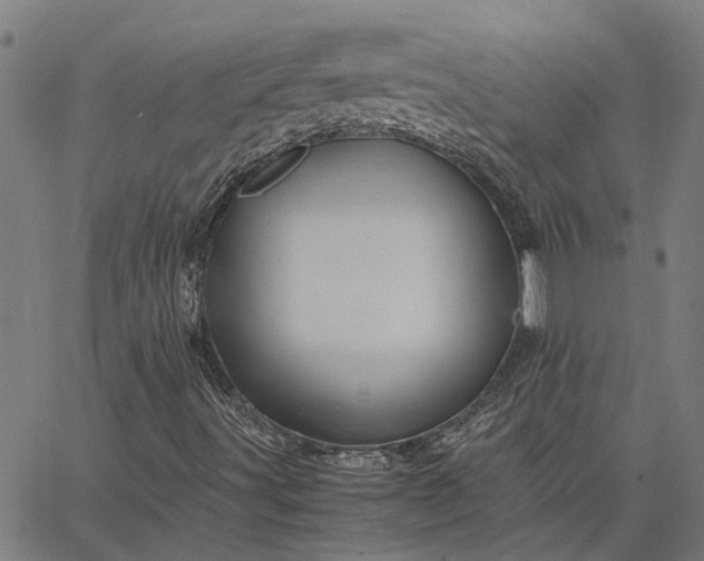 X0000065241491200603031725