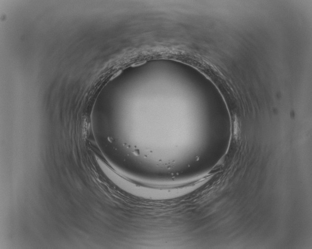 X0000065241492200603031725