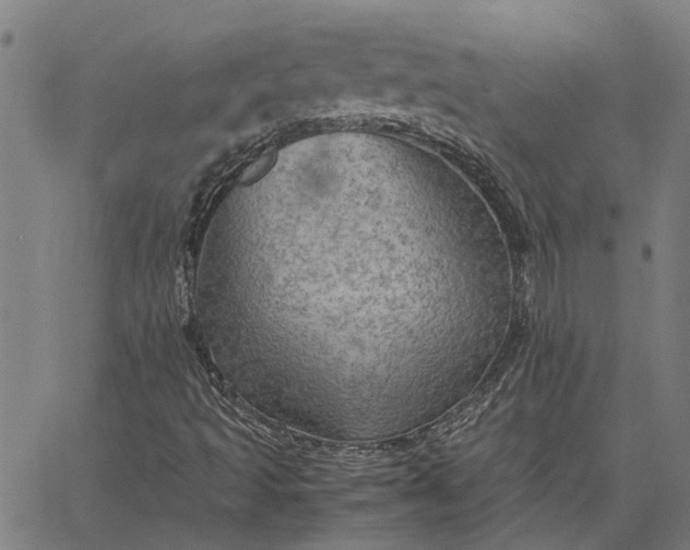 X0000065241493200603031725