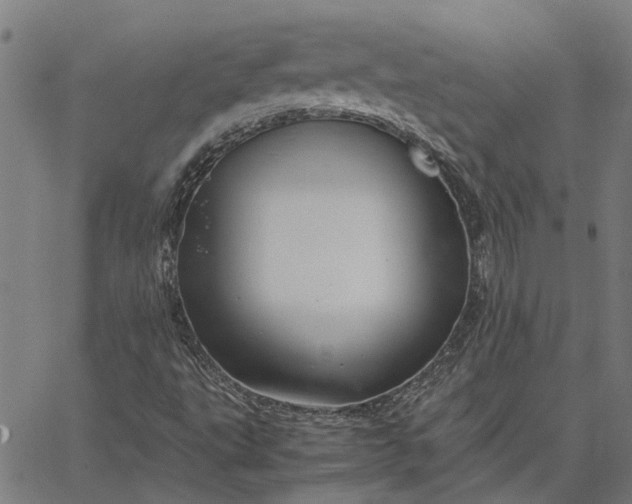 X0000065241495200603031725