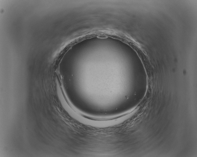 X0000065241496200603031725