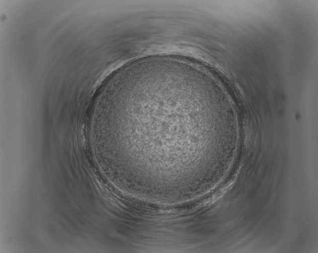 X0000065241497200603031725