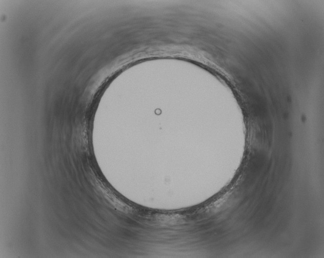 X0000065241498200603031725