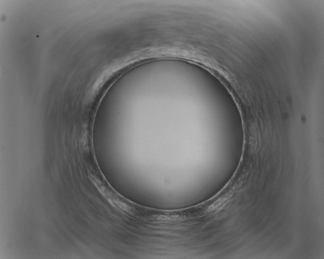 X0000065241499200603031725