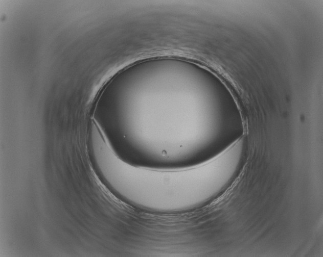 X0000065241500200603031725