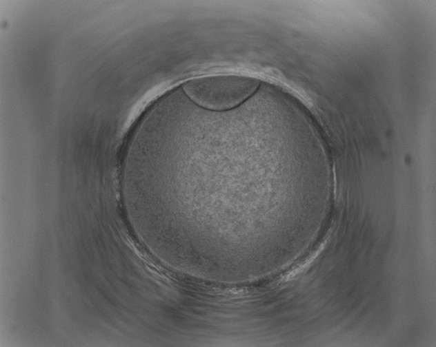 X0000065241501200603031725