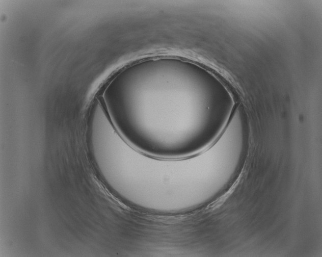 X0000065241502200603031725