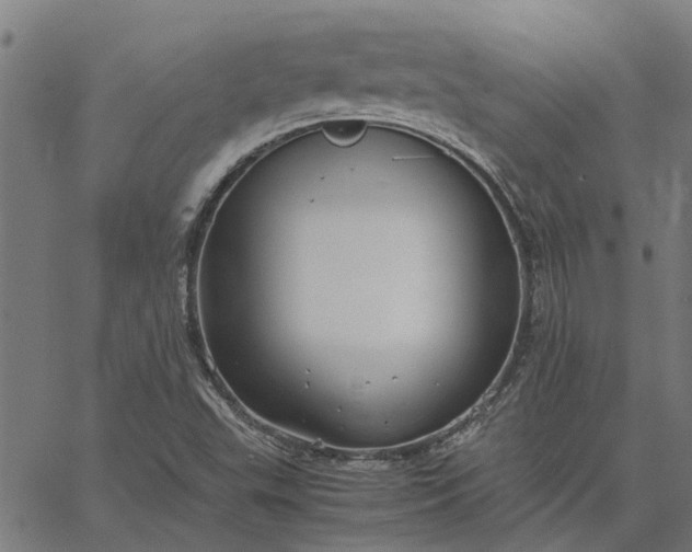 X0000065241503200603031725