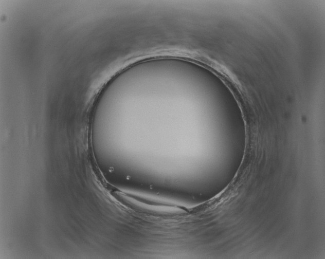 X0000065241504200603031725