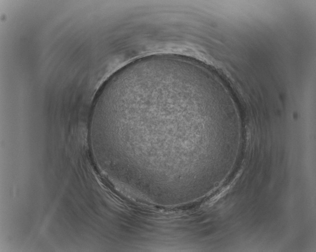 X0000065241505200603031725