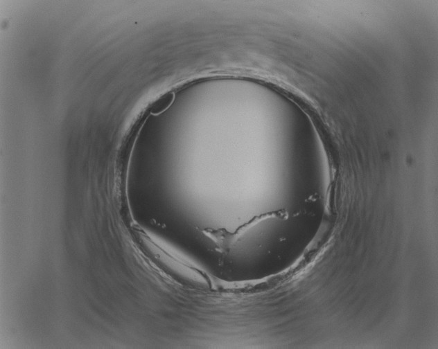 X0000065241506200603031725