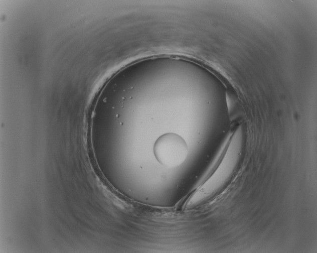 X0000065241508200603031725