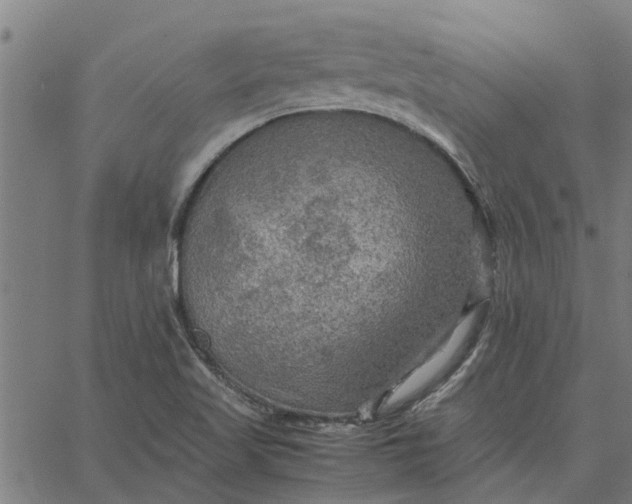 X0000065241509200603031725