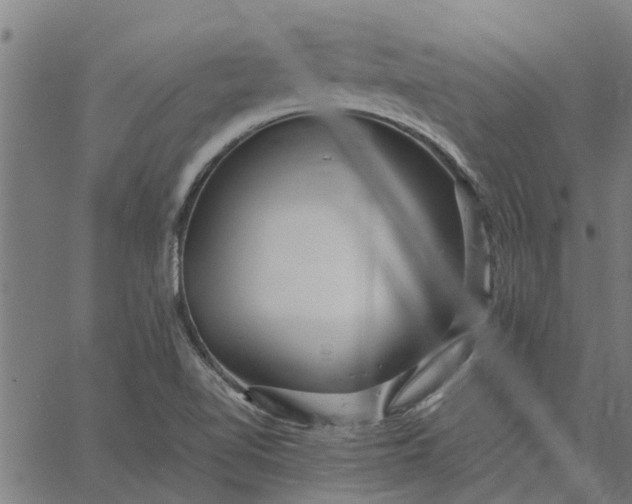 X0000065241510200603031725