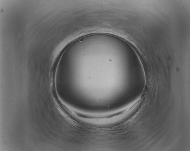 X0000065241511200603031725