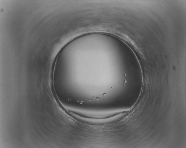 X0000065241512200603031725