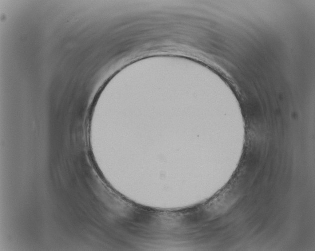 X0000065241514200603031725