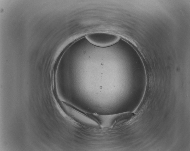 X0000065241515200603031725