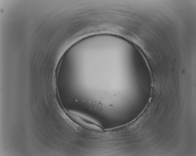 X0000065241516200603031725