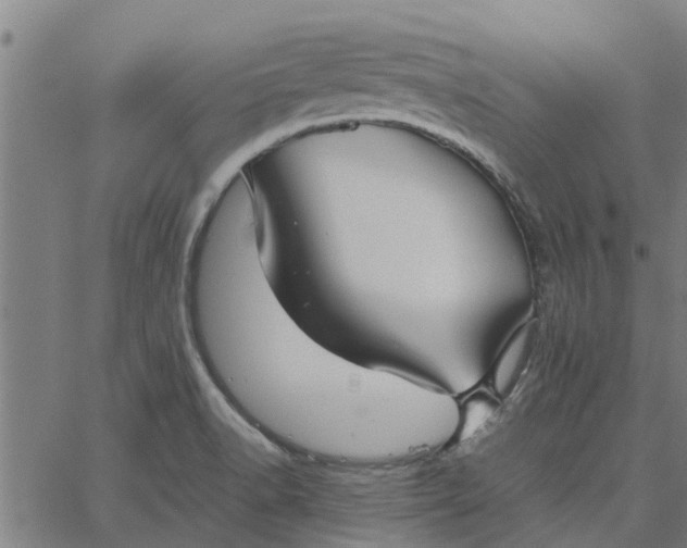 X0000065241518200603031725