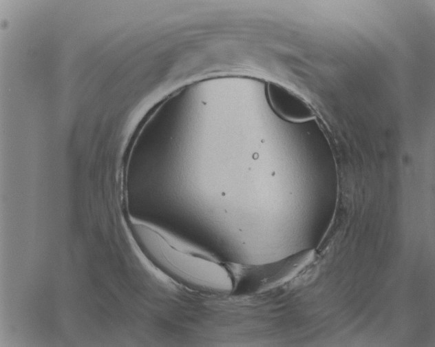 X0000065241519200603031725