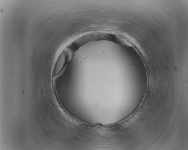 X0000065241520200603031725