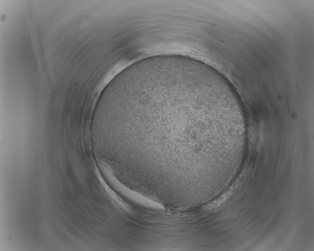 X0000065241521200603031725