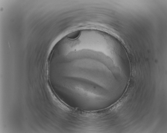 X0000065241522200603031725