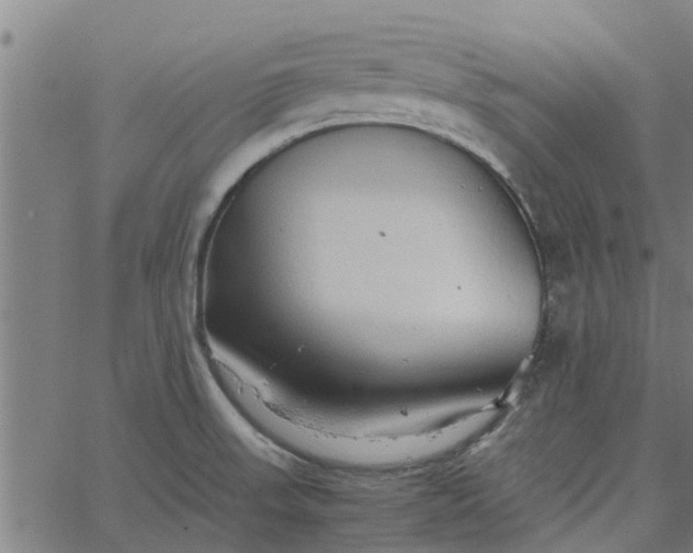 X0000065241523200603031725