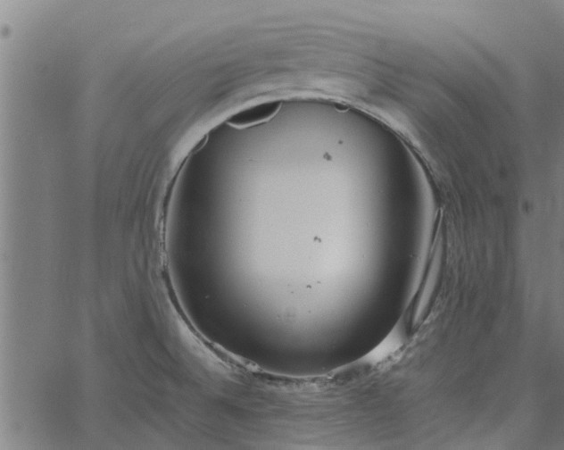 X0000065241524200603031725