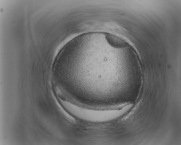 X0000065241525200603031725