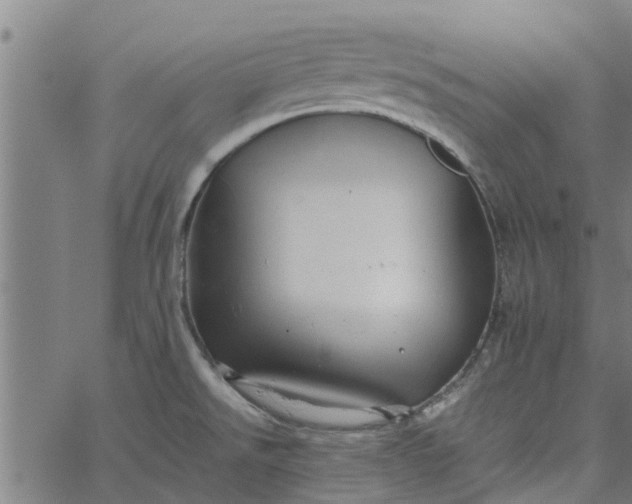 X0000065241526200603031726