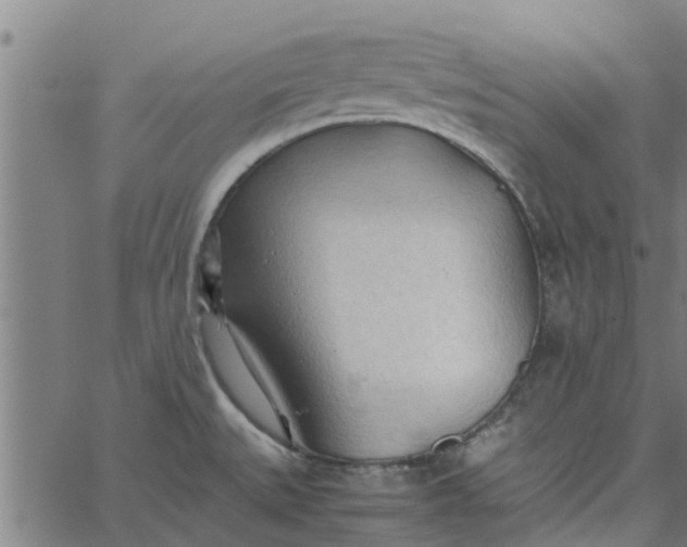 X0000065241527200603031726