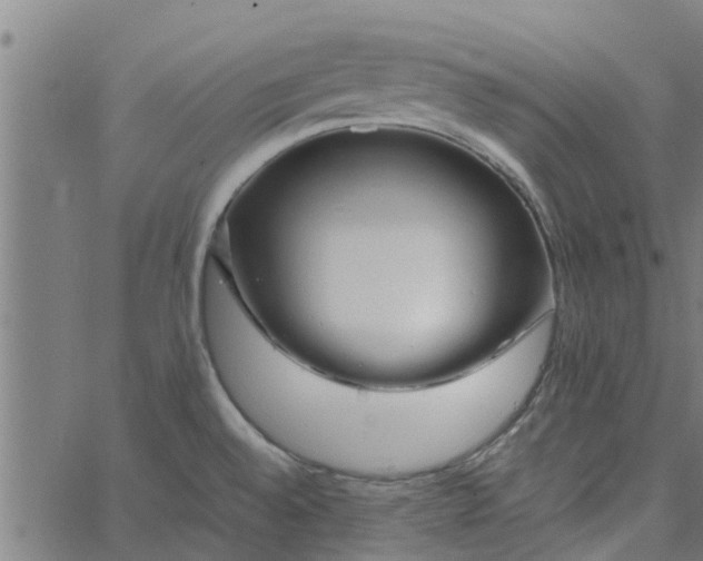 X0000065241528200603031726