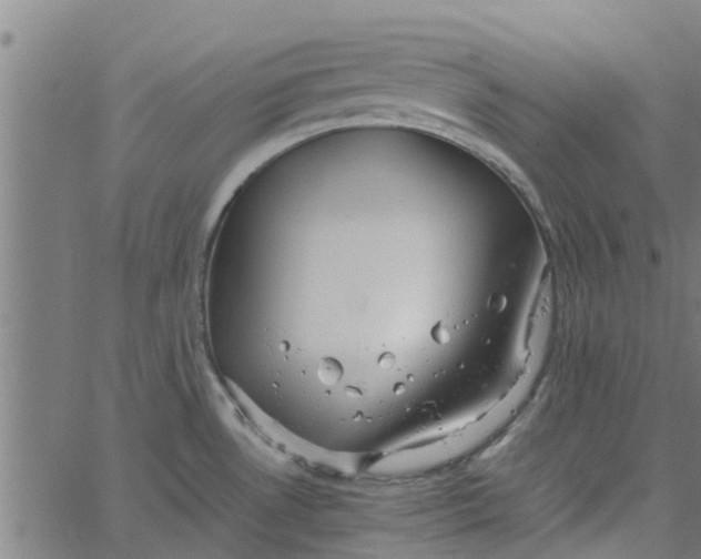 X0000065241530200603031726