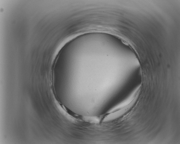 X0000065241531200603031726