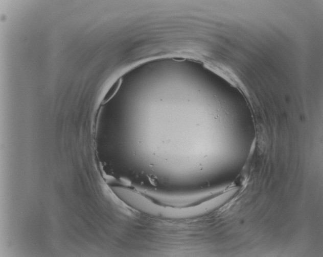 X0000065241532200603031726