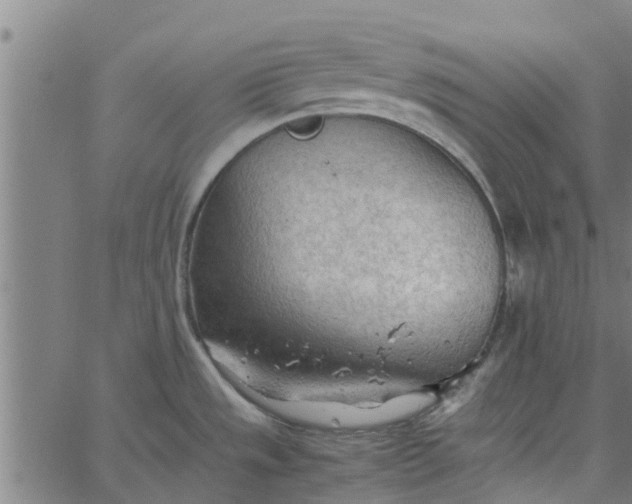 X0000065241533200603031726