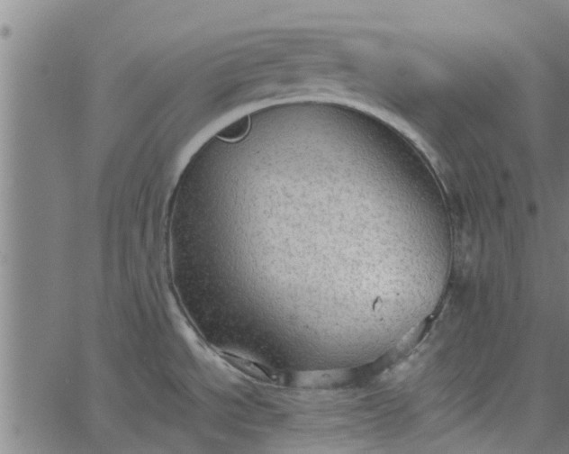 X0000065241534200603031726