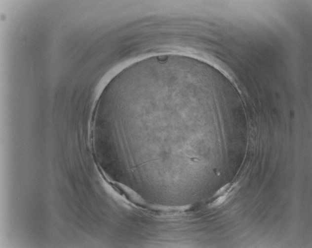 X0000065241535200603031726