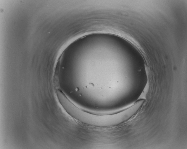 X0000065241536200603031726