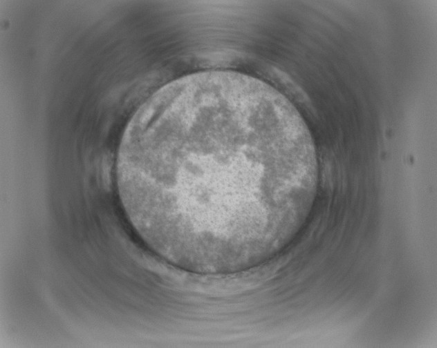 X0000065240026200603131114